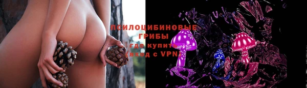 соль курить ск Медвежьегорск