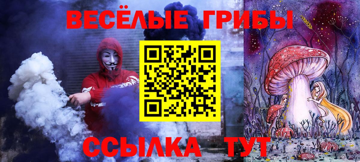 Псилоцибиновые грибы Cubensis  Вход с VPN  цены   Медногорск 