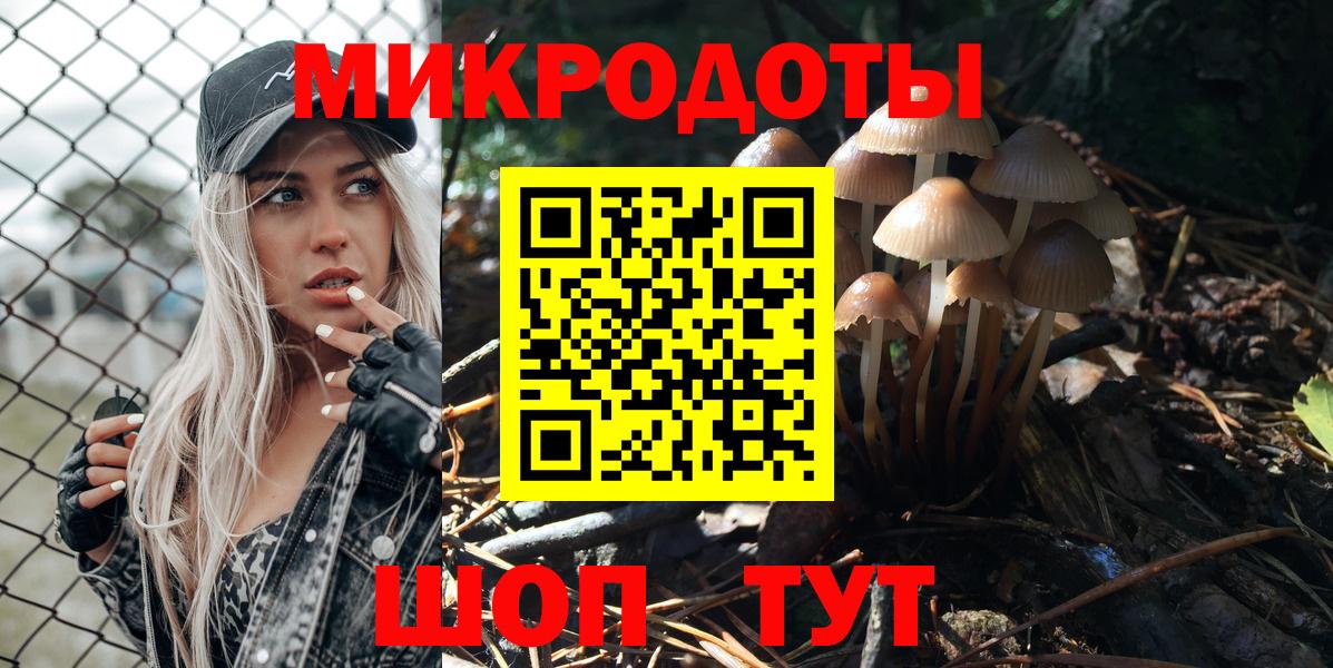 Псилоцибиновые грибы Cubensis  цена наркотик  Медногорск 